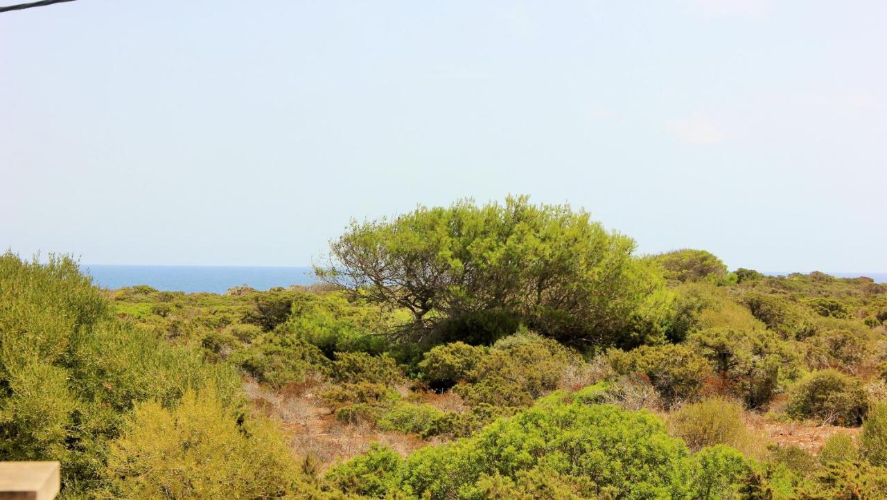 Vakantiehuis Sivinar By Dracmallorca *